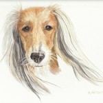 indi